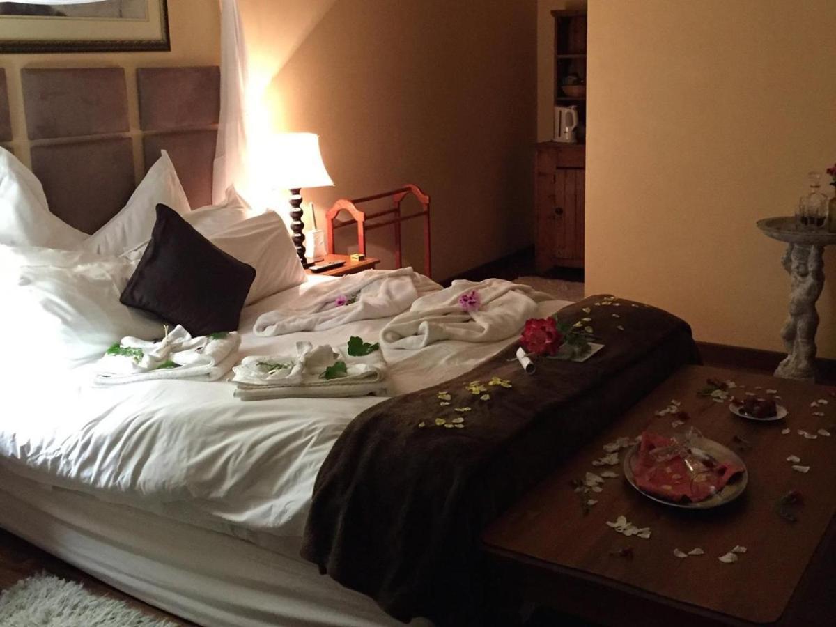 Harfield Guest Villa Cape Town Eksteriør bilde