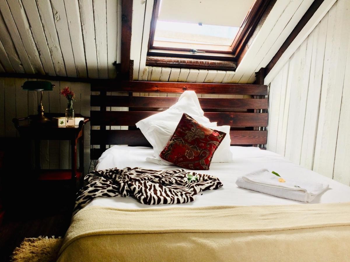 Harfield Guest Villa Cape Town Eksteriør bilde