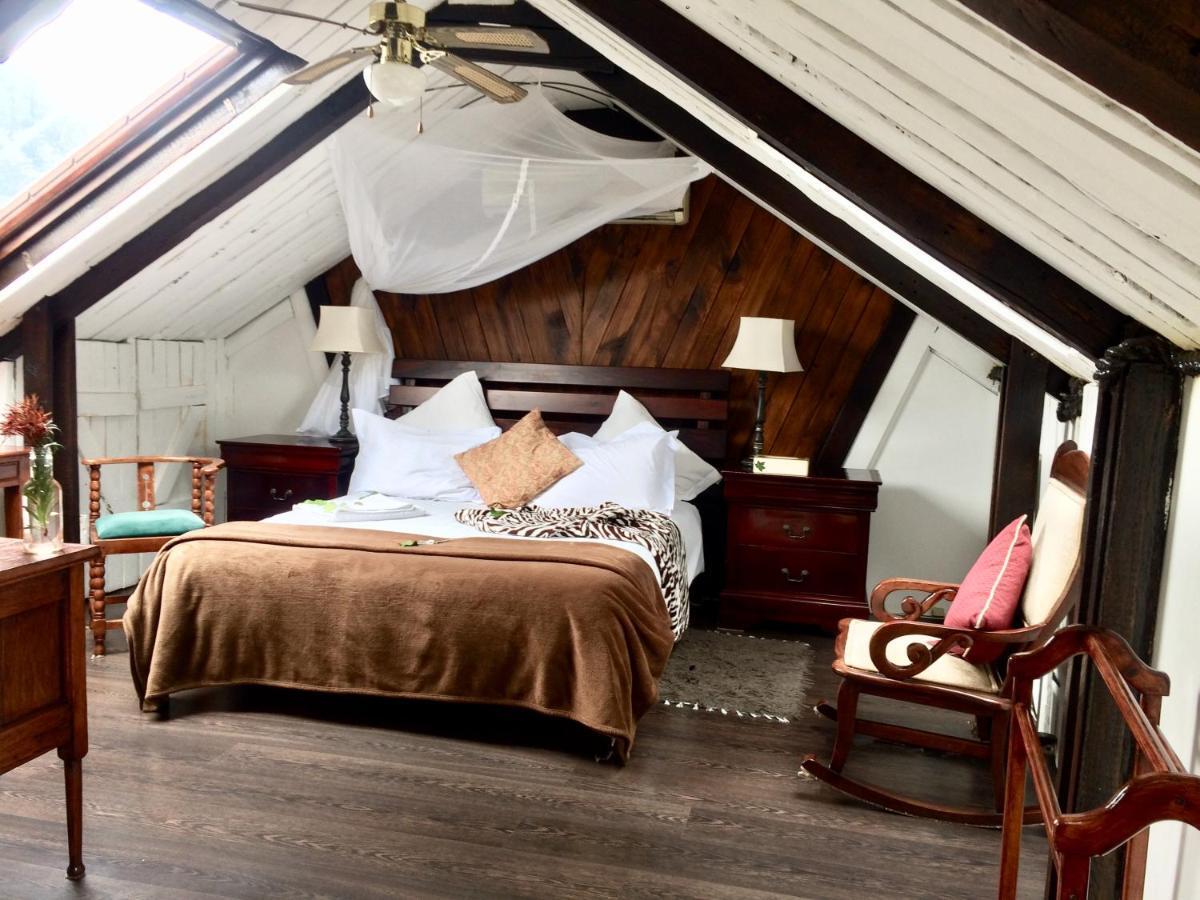 Harfield Guest Villa Cape Town Eksteriør bilde